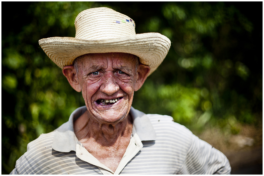 Viniales portret pana