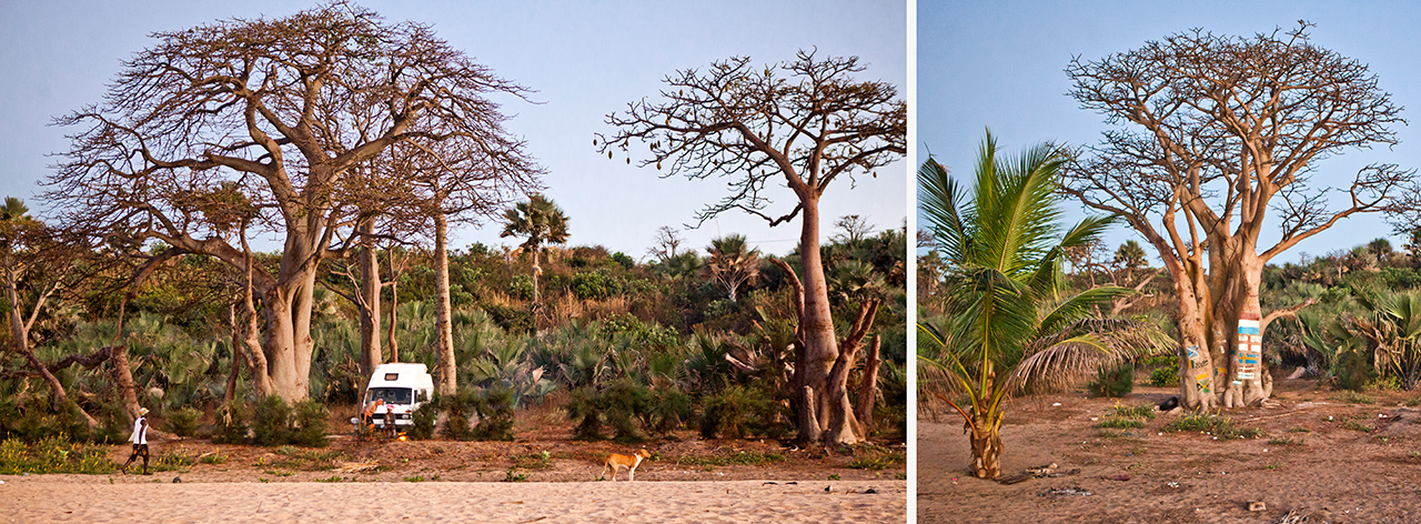 baobaby-gambia