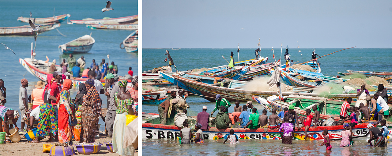 gambia-tanji-gambia-na-wlasna-reke